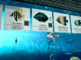 050410_qr_aquarium03