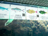 050410_qr_aquarium05